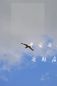 平安逾期后怎么協(xié)商還本金，平安逾期后：如何協(xié)商還款本金？